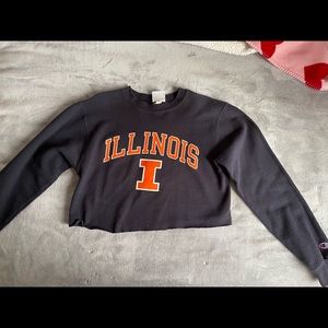 University of Illinois Cropped Champion Sweater
